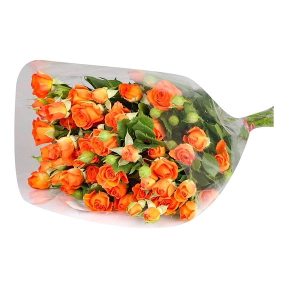 Ramo minirosas