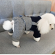 thumbnail image 5 of Diseñadores de alta calidad, ropa para mascotas, ropa para perros a cuadros, ropa para mascotas, cuatro pies Sincero Hogar, 5 of 6