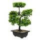 thumbnail image 2 of Árbol de bonsai artificial planta realista en macetas de bonsai planta en maceta adorno de bonsai, 2 of 6