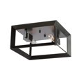 thumbnail image 1 of Artcraft Lighting Vineyard AC10063 Flush Mount, 1 of 2