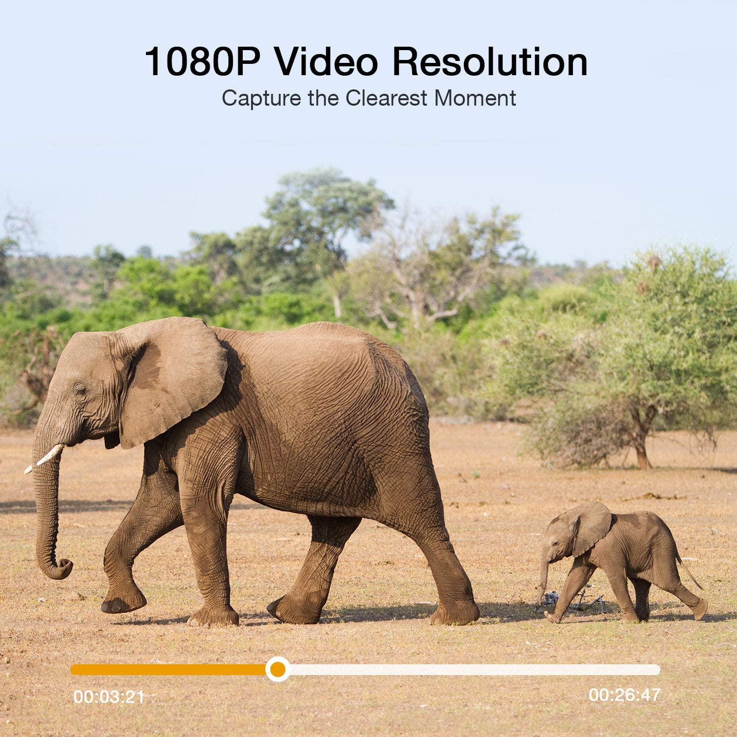CAMPARK Trail Camera with SD Card 24MP 1080P Game Hunting Camera with Night Vision Waterproof