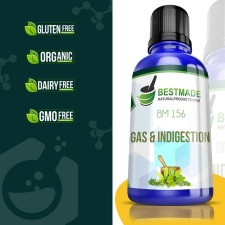BestMade Natural Products Gas & Indigestion Natural Remedy for Bloating, Nausea, & Heartburn (BM156)