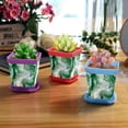 thumbnail image 6 of HemaKayy Decorative Planter Pot Set - Perfect for Small Plants - Colorful Design With Drainage Hole - Ideal for Home and Garden Decor - Set of 8 - Unique Marble Texture, 6 of 6