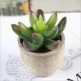 thumbnail image 1 of Plantas verdes Imitación antigua carnosa combinación maceta escritorio planta simulación pequeña maceta falsa carnosa, 1 of 6