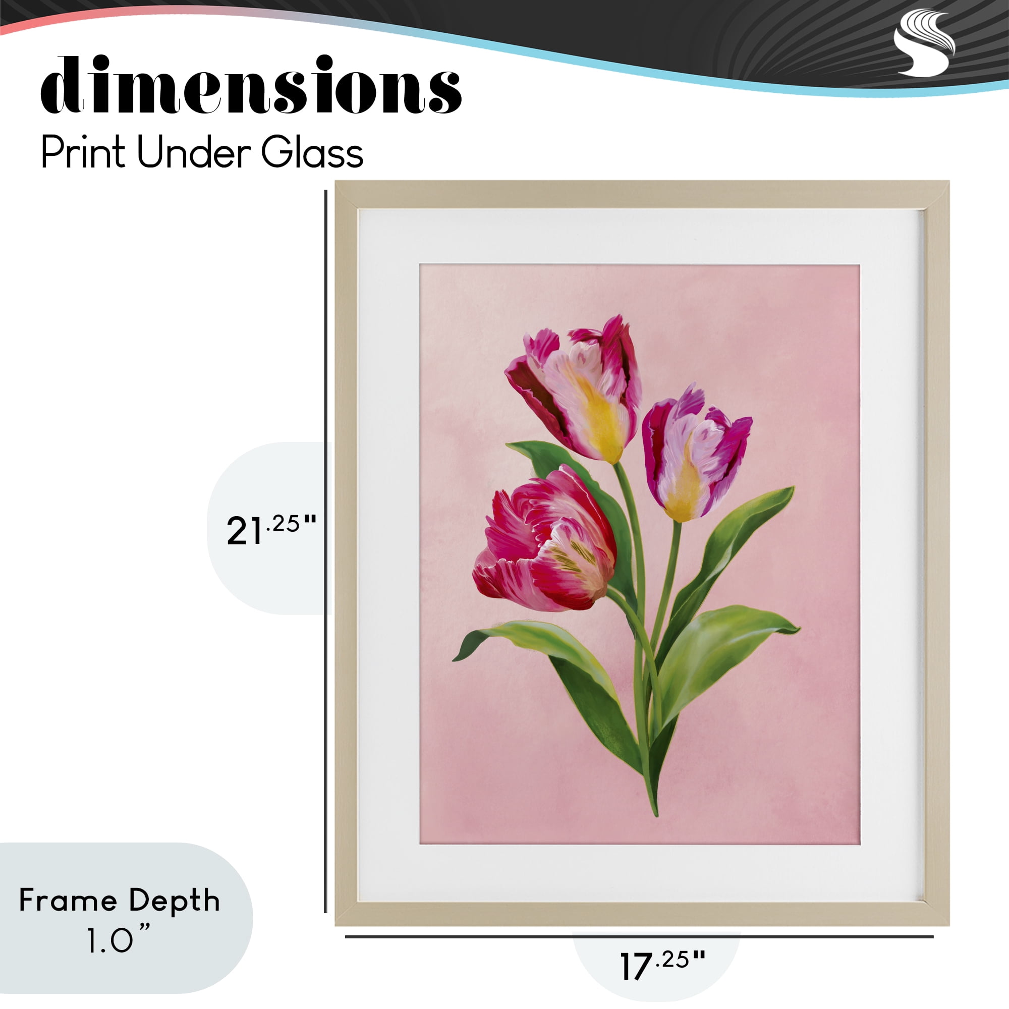 Stupell Industries Vibrant Magenta Tulips Birch Framed Print Under Glass, design by Diane Neukirch