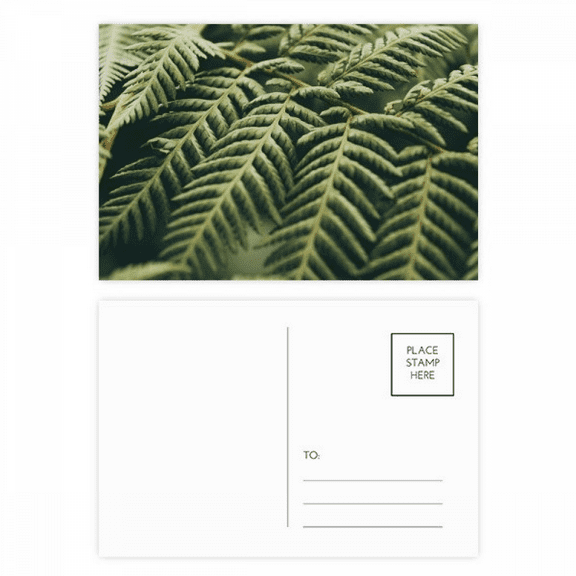 photography picture nature postcard set birthday mailing thanks greeting card