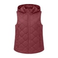 thumbnail image 2 of Cmfcve Plus Size Hooded Puffer Vest for Womens Full Zip Sleeveless Quilted Vest Winter Warm Outerwear Jackets with Zipper Pockets, 2 of 3