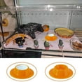 thumbnail image 3 of Pet Food Bowl For Small Reptiles With Non Slip Bottom And Easy Clean Design 10 in Diameter, 3 of 6