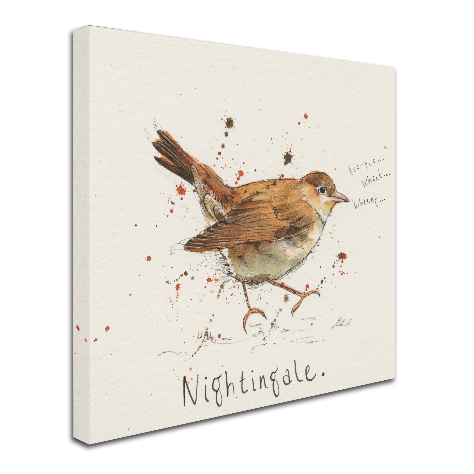 Michelle Campbell 'Nightingale' Canvas Art