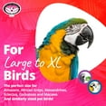 thumbnail image 3 of Super Bird Creations SB478 XL 4 Way Play Bird Toy - Colorful Wooden Blocks, Ringing Bell, and Bird Swing - Perfect Chew Toys for Macaws Parrots & Amazons - Ideal for Large to Extra Large Birds, 3 of 8