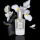 thumbnail image 4 of Muestra de 2 ml de Perfume MIND GAMES Castling Extrait de Parfum, 4 of 5