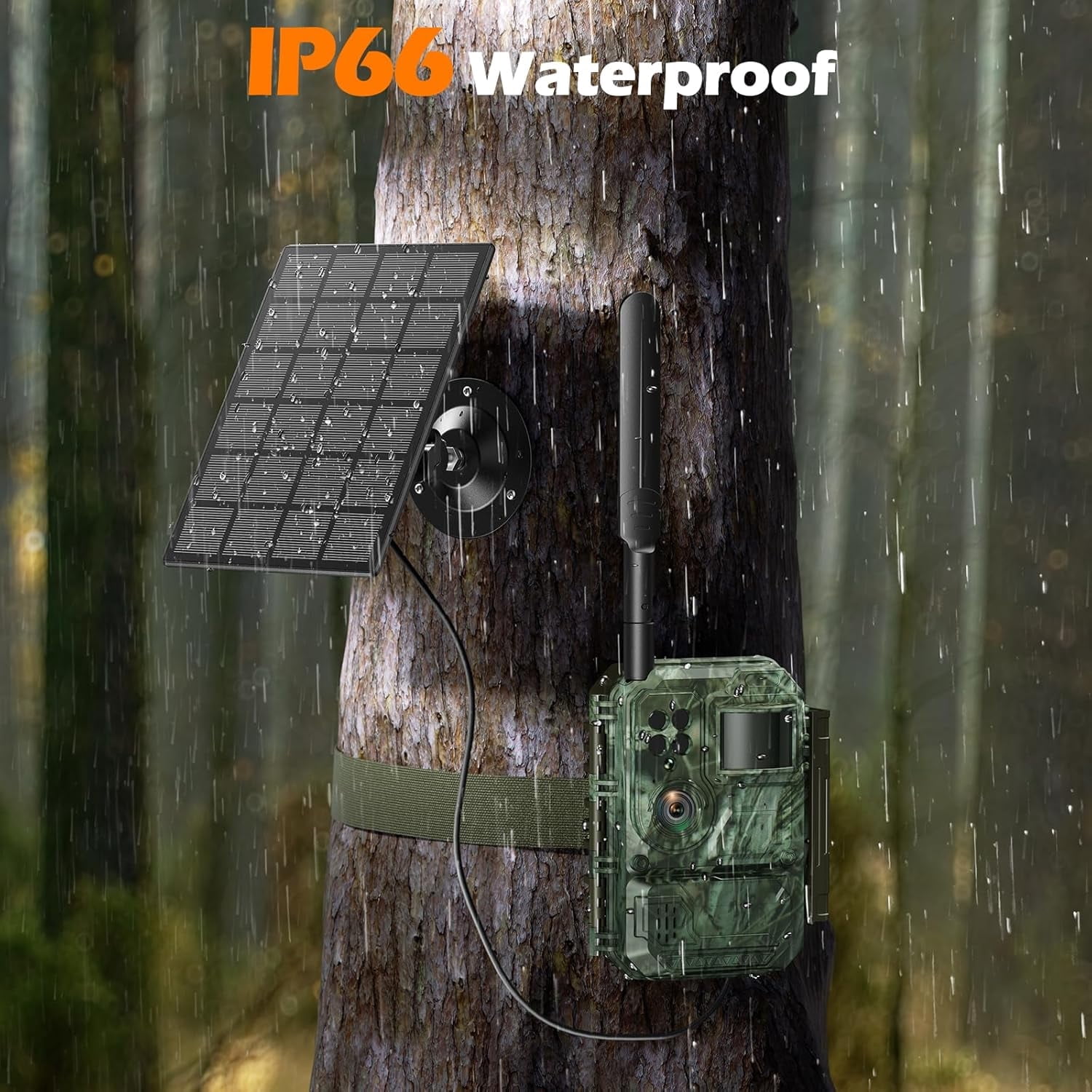 CAMPARK 2 Pack Trail Camera with 4G Cellular Solar, 1080P Hunting Game Camera with Live View and Motion Alerts, Color Night Vision IP66 Waterproof for Wildlife Monitoring
