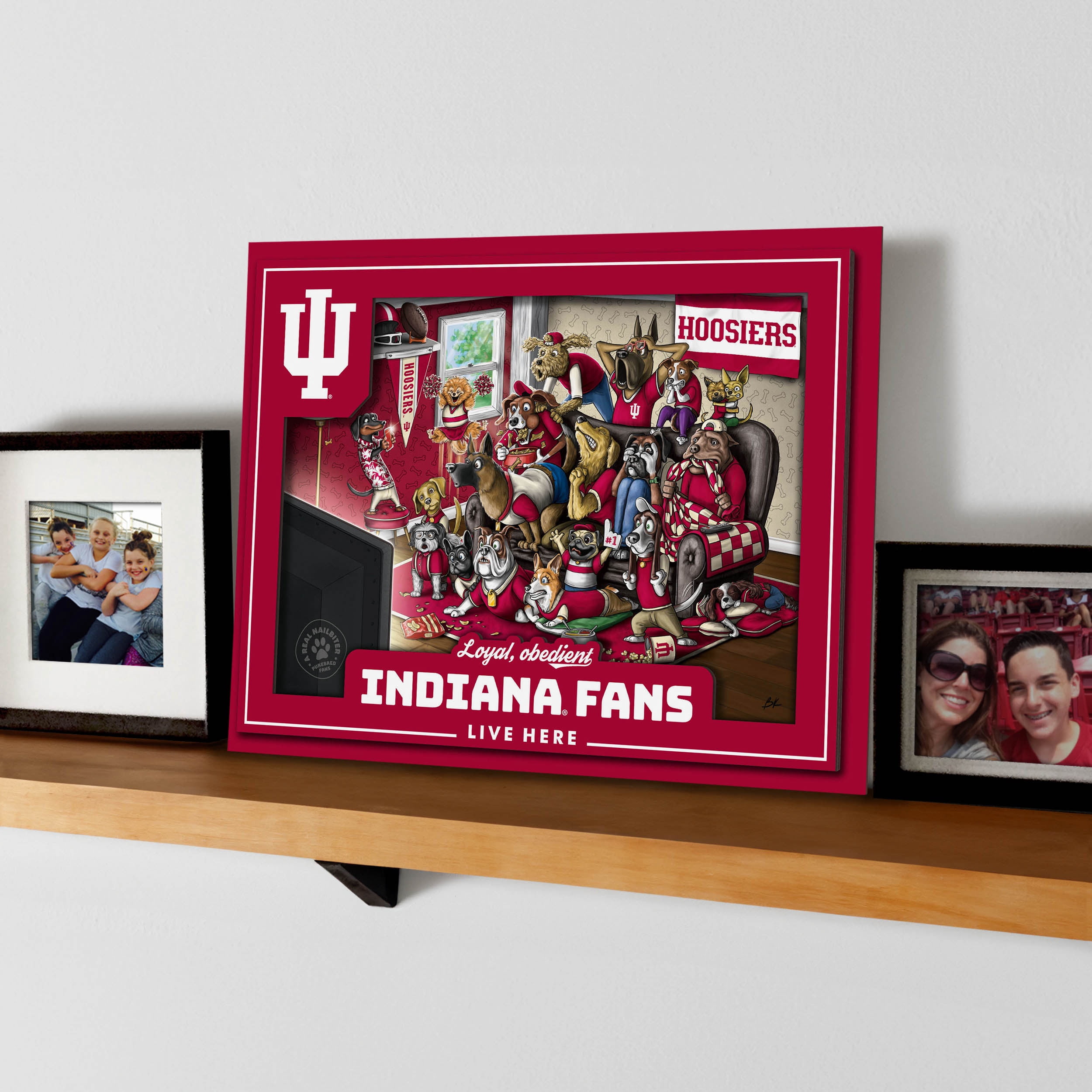 YouTheFan NCAA Indiana Hoosiers Purebred Fans Wall Art