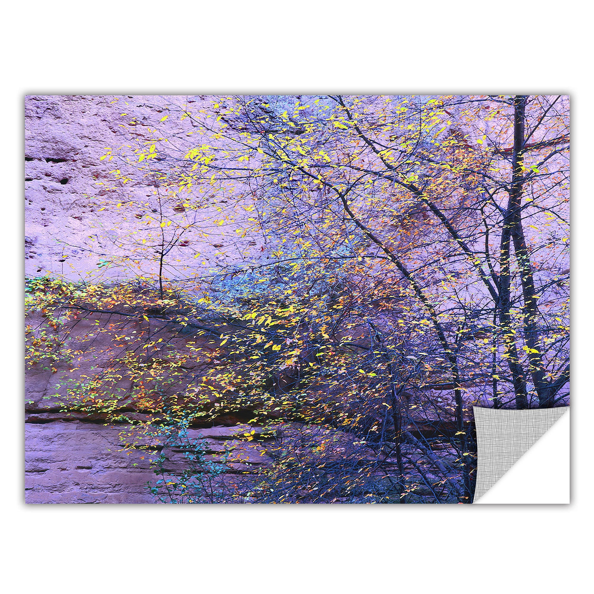 Dean Uhlinger Aravaipa Canyon Dusk, Art Appeelz Removable Wall Art Graphic