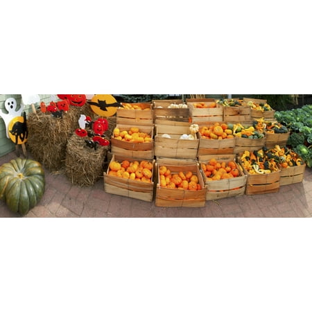 Assorted gourds and small pumpkins at farm stand Route 34 Colts Neck Township Monmouth County New Jersey USA Poster