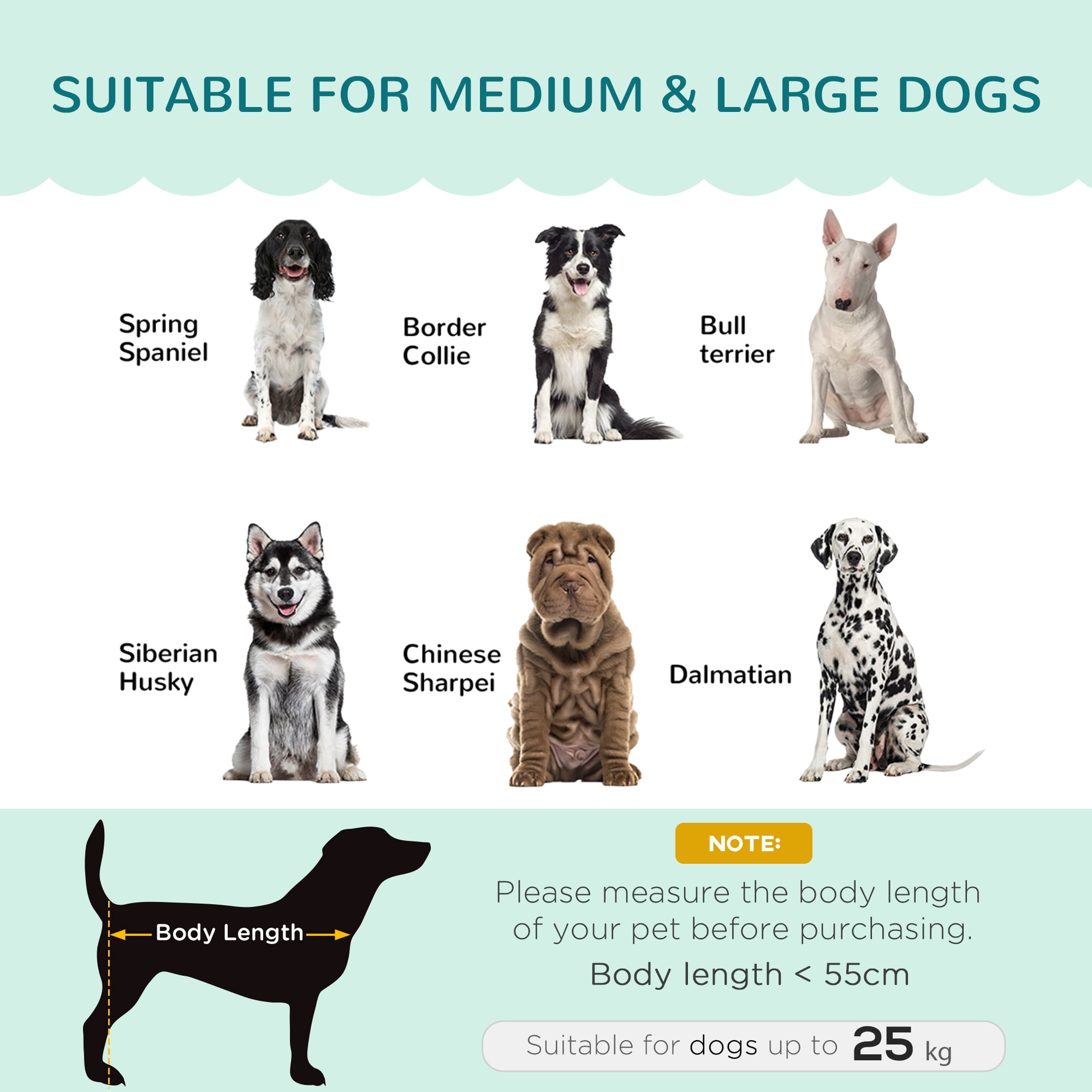 Velvet Large Dog Couch with Foam Cushion, Soft and Cute Dog Bed with Pearl Design, Dog Sofa for Big and Medium Dogs, Green