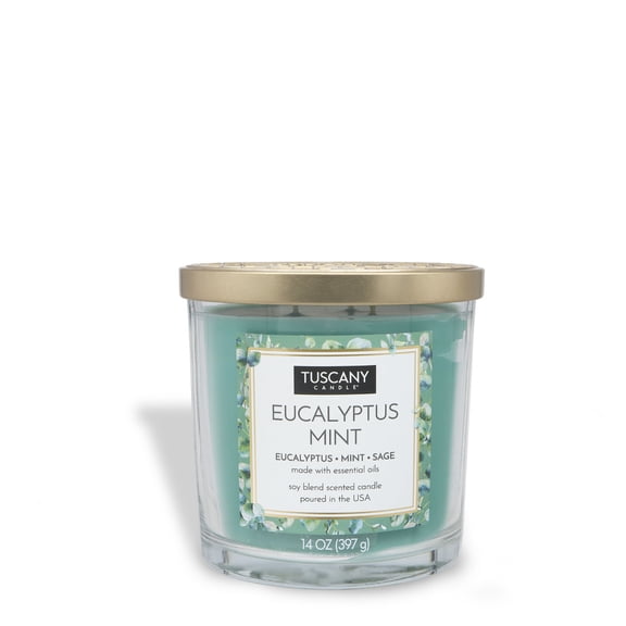 Eucalyptus Mint Long-Lasting Scented Jar Candle (14 oz)