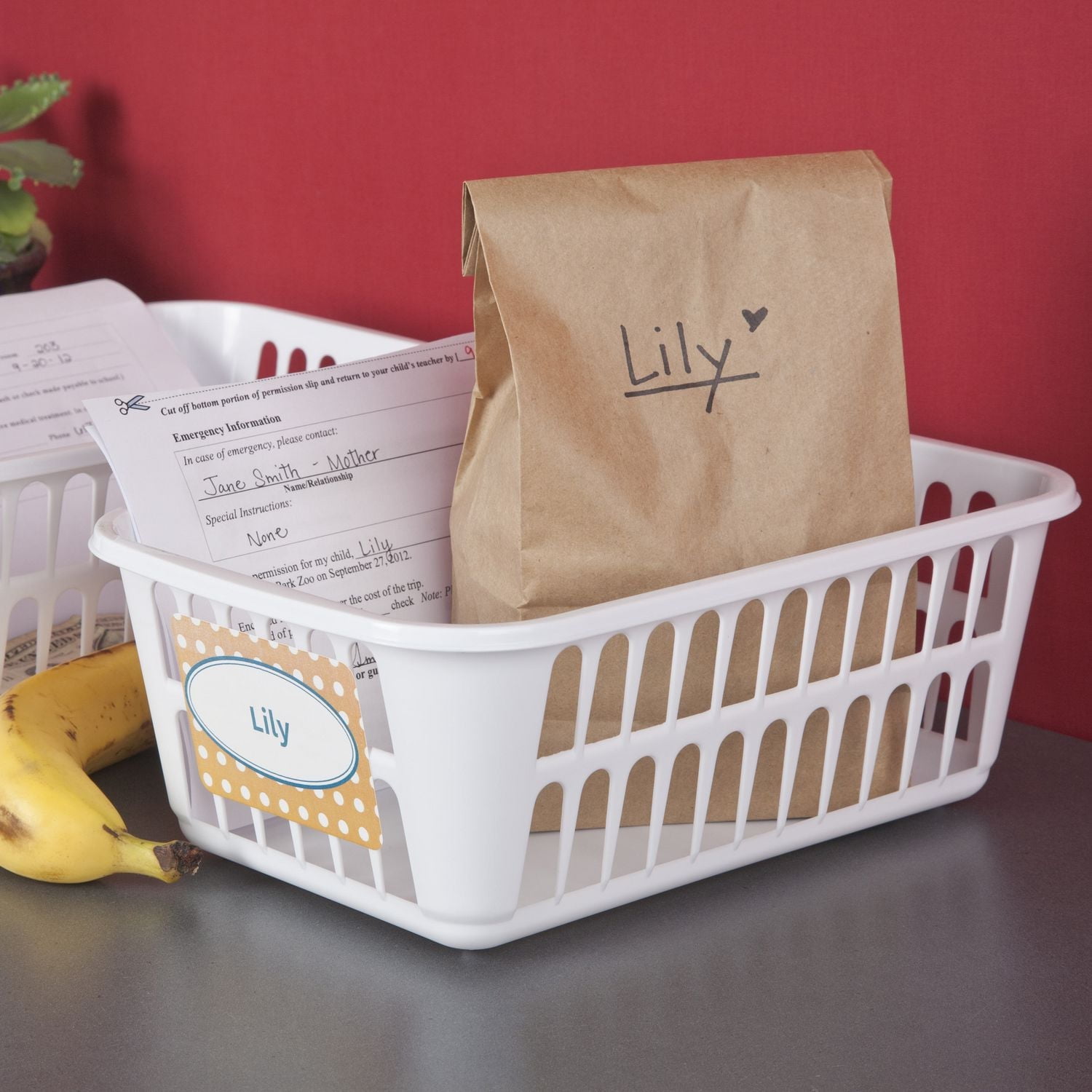 Sterilite White Storage Tray, Each