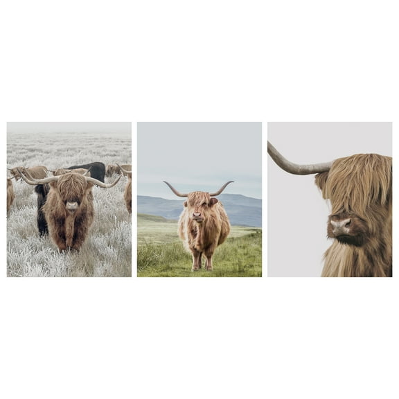 DesignOvation Highland Cow Unframed Art Prints 8” x 10” Set of 3 by The Creative Bunch Studio