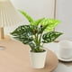 thumbnail image 5 of Artificial Potted Plants Realistic Simulation Green Plants Indoor Home Desk Bookshelf Decor Faux Greenery Decorative Houseplants for Living Room Office, 5 of 6