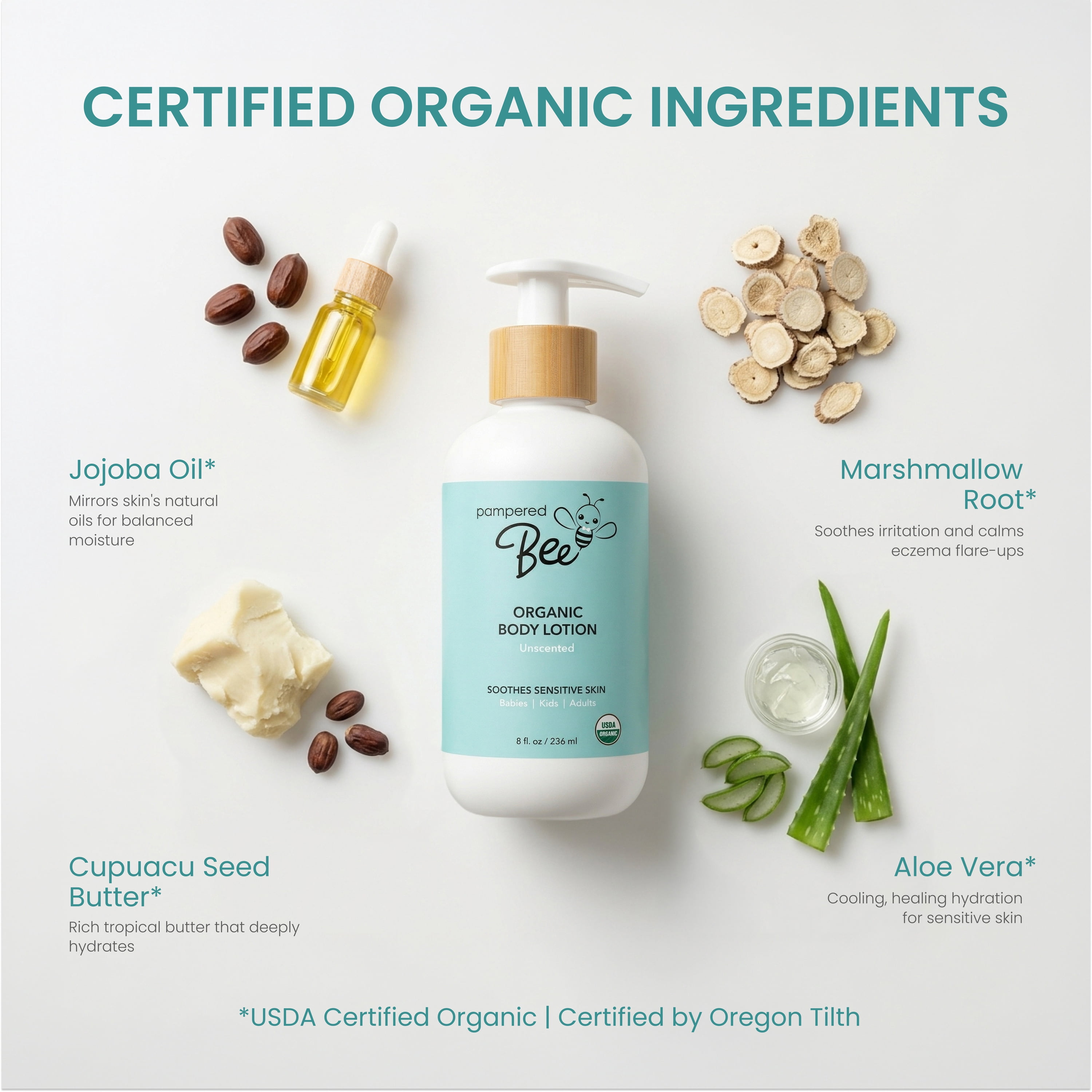 (6 pack) Pampered Bee Organic Unscented Baby Lotion 8 fl oz - Deep Hydration for Sensitive Skin