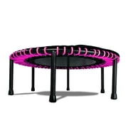 The Leaps & ReBounds Fitness Trampoline - Bungee Rebounder