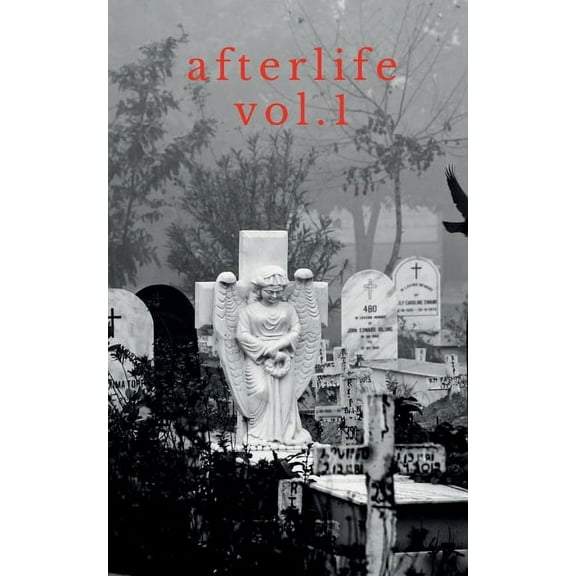 afterlife vol. 1 (Paperback)