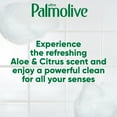 thumbnail image 6 of Palmolive Ultra Experientials Liquid Dish Soap, Aloe & Citrus Scent - 20 Fluid Ounce, 6 of 15