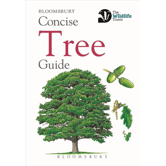 Pre-Owned Concise Guides: Concise Tree Guide (Paperback)