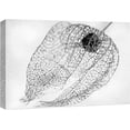 thumbnail image 3 of PixonSign Canvas Print Wall Art Dried Transparent Chinese Lantern Plant Botanical Wilderness Photography Realism Modern Closeup Dramatic Dark Black and White for Living Room, Bedroom, Office - 24"x36", 3 of 5