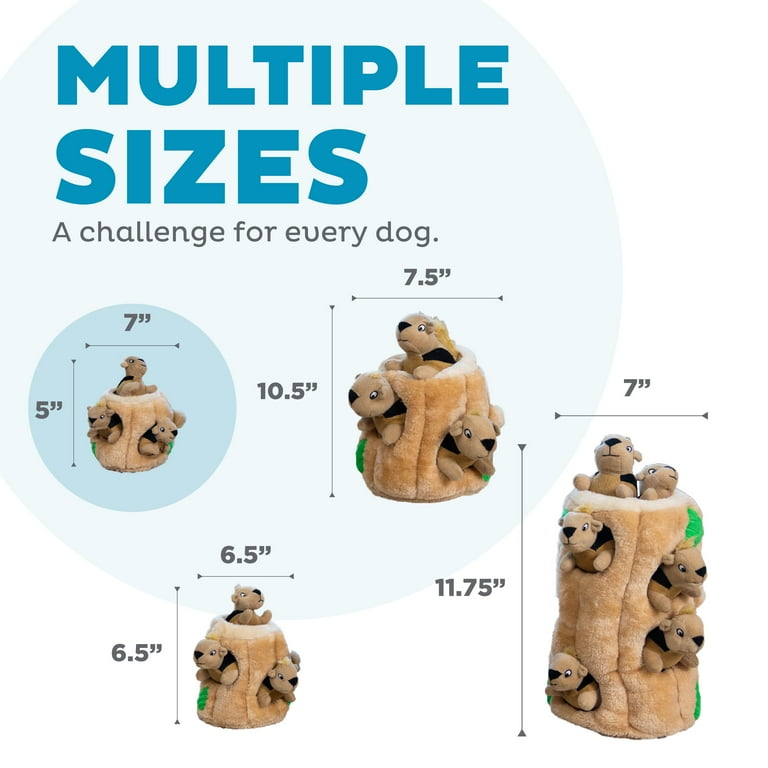 Outward Hound Hide A Squirrel Plush Puzzle Dog Toy, Small photo 5