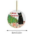 thumbnail image 3 of Floleo Black Cat Christmas Ornament - Halloween Ornament - Birthday Gift For Cat Lovers - Black Cat Xmas Decor Tree Hanging - Christmas Ornament - Car Hanging Ornaments, 3 of 7