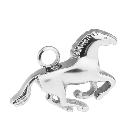 Colgante para Mascotas Jinwen Soporte Cenizas Acero Inoxidable Plateado