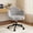 Gray, variant on Romorgniz Vanity Chair with Back & Wheels Upholstered Desk Chair Height Adjustable Teddy Velvet Computer Task Chairs for Home Office, Pink