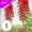 Red #7, variant on Artificial Morning Glory Hanging Vines - 4 Pack Fake Flower Plants for Wall Decor | 76cm Green Rattan Ivy with Multicolor Blooms for Indoor Outdoor Wedding Cottagecore