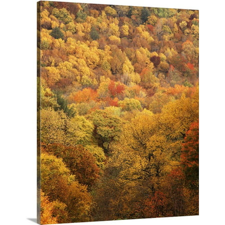 Great BIG Canvas Adam Jones Premium Thick-Wrap Canvas entitled North Carolina, View of Great Smoky Mountains National Park in (Best Views In Great Smoky Mountains)