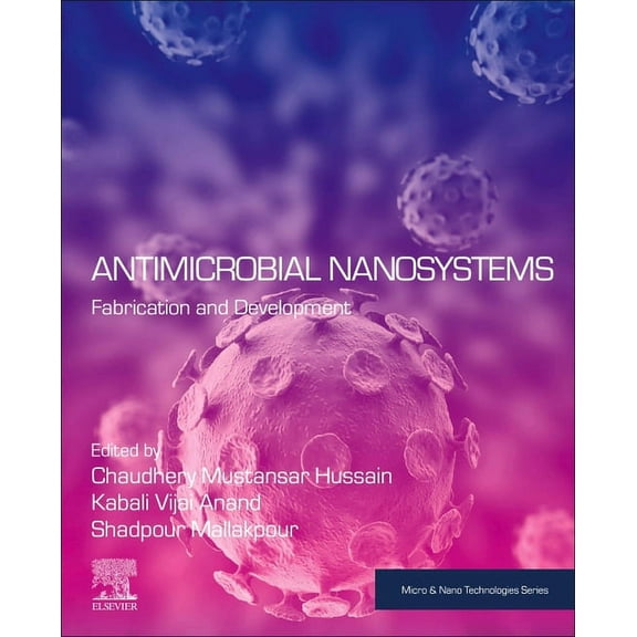 Micro and Nano Technologies Antimicrobial Nanosystems: Fabrication and Development, (Paperback)