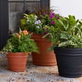 thumbnail image 4 of Bloem Rolled Rim 16" Round Plastic Planter - Lightweight, Heavy Duty Indoor/Outdoor Pot, Black, 4 of 4