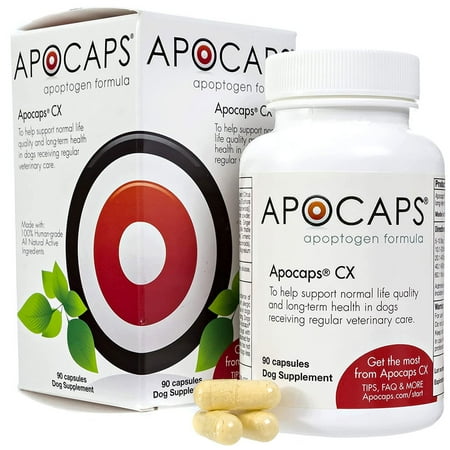 UPC: 0837654809594 | Apocaps CX Apoptogen Formula Dog Supplement  90 count