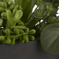thumbnail image 3 of Bouclair Green Succulents in Ceramic Pot, 3 of 3