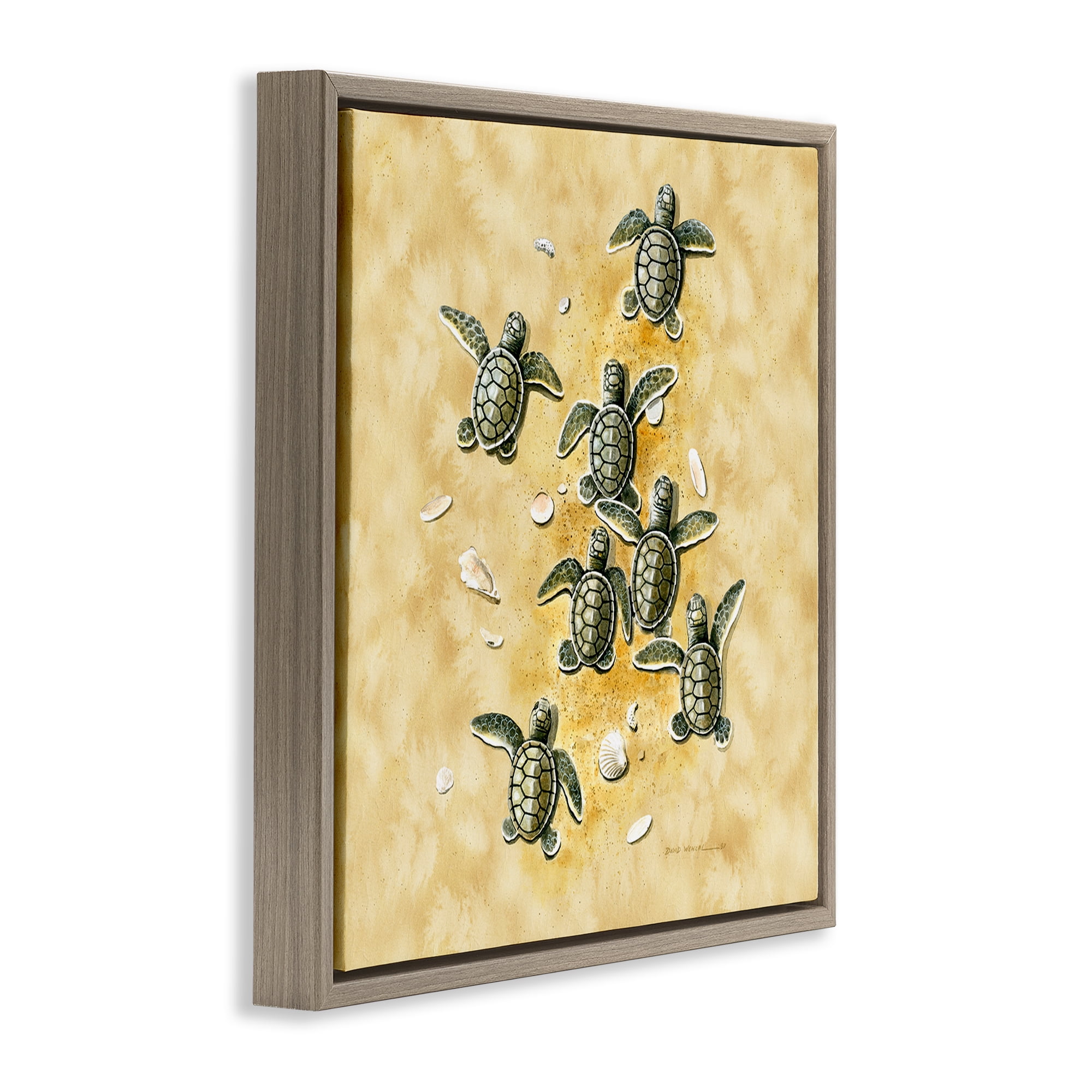 Stupell Industries Baby Sea Turtles Shore Animals Painting Brown Floater Framed Canvas Art Print Wall Art, 25 x 25