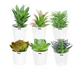 thumbnail image 1 of Plantas Suculentas Belug Artificiales Macetas Decorativas Bonsai 6 pzs, 1 of 5