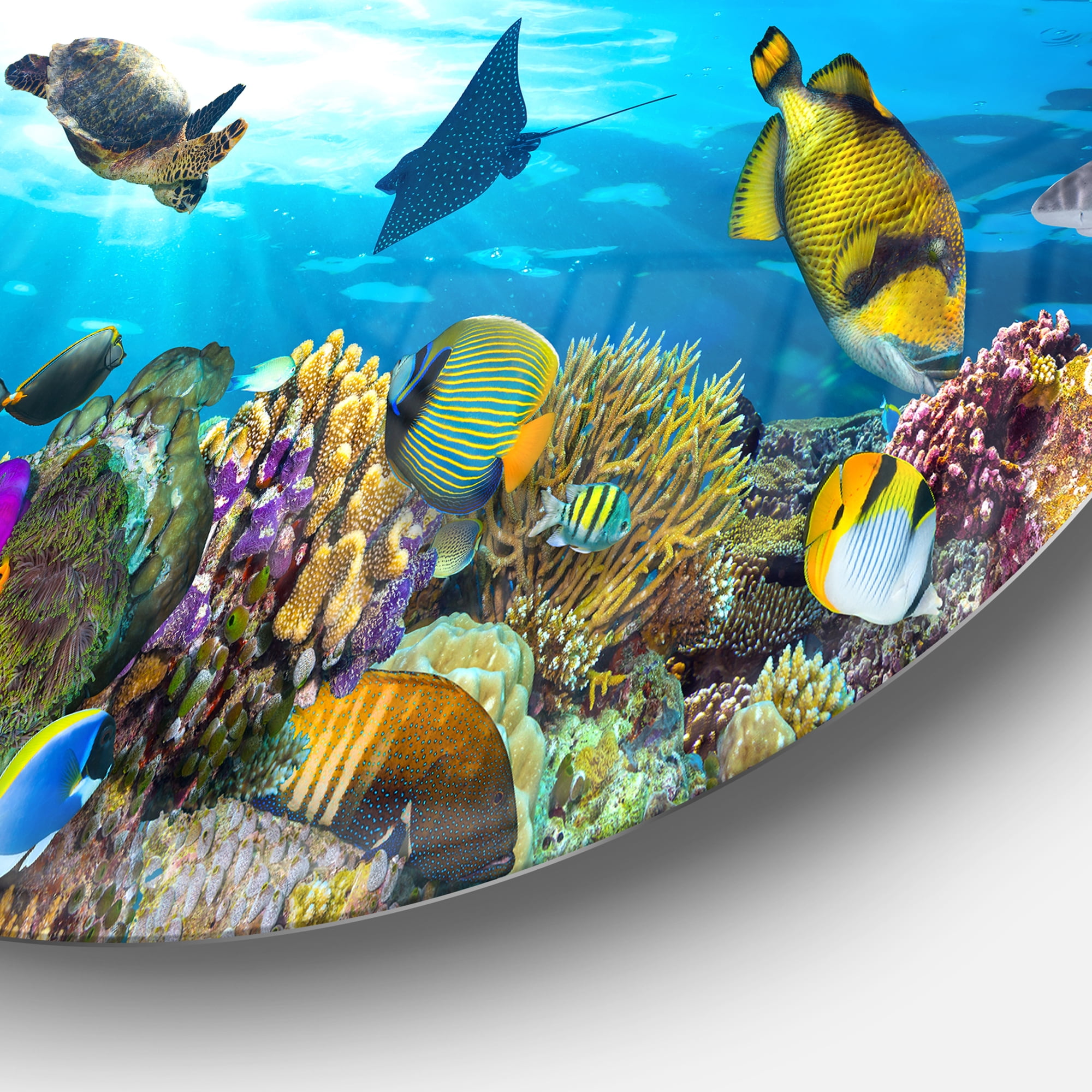 Designart 'Colorful Coral Reef with Fishes' Disc Seascape Circle Metal Wall Art