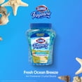 thumbnail image 2 of Ambientador Clorox Fraganzia Crystal Beads 355 ml, 2 of 6