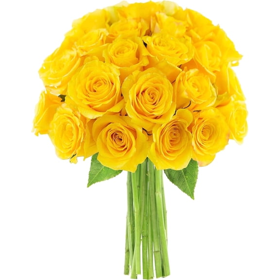 KaBloom: Fall Collection-Bouquet of 25 Yellow Roses,Next-Day Delivery, Gift of Fresh Flowers for Every Occasion.