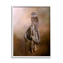 Stupell Barred Owl Perched Tree Trunk Nature Animals & Insects Photography White Framed Art Print Wall Art