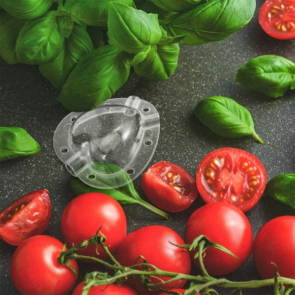 FESTFENDS 3Ud Transparente Para Fresas Y Con Forma