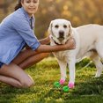 thumbnail image 2 of LNGOOR Pet Socks For Dogs 2 Pairs Anti-Slip Dog Socks With Grips Traction Control Paw Protection Puppy Dogs Non-Skid Socks For Indoor, 2 of 7
