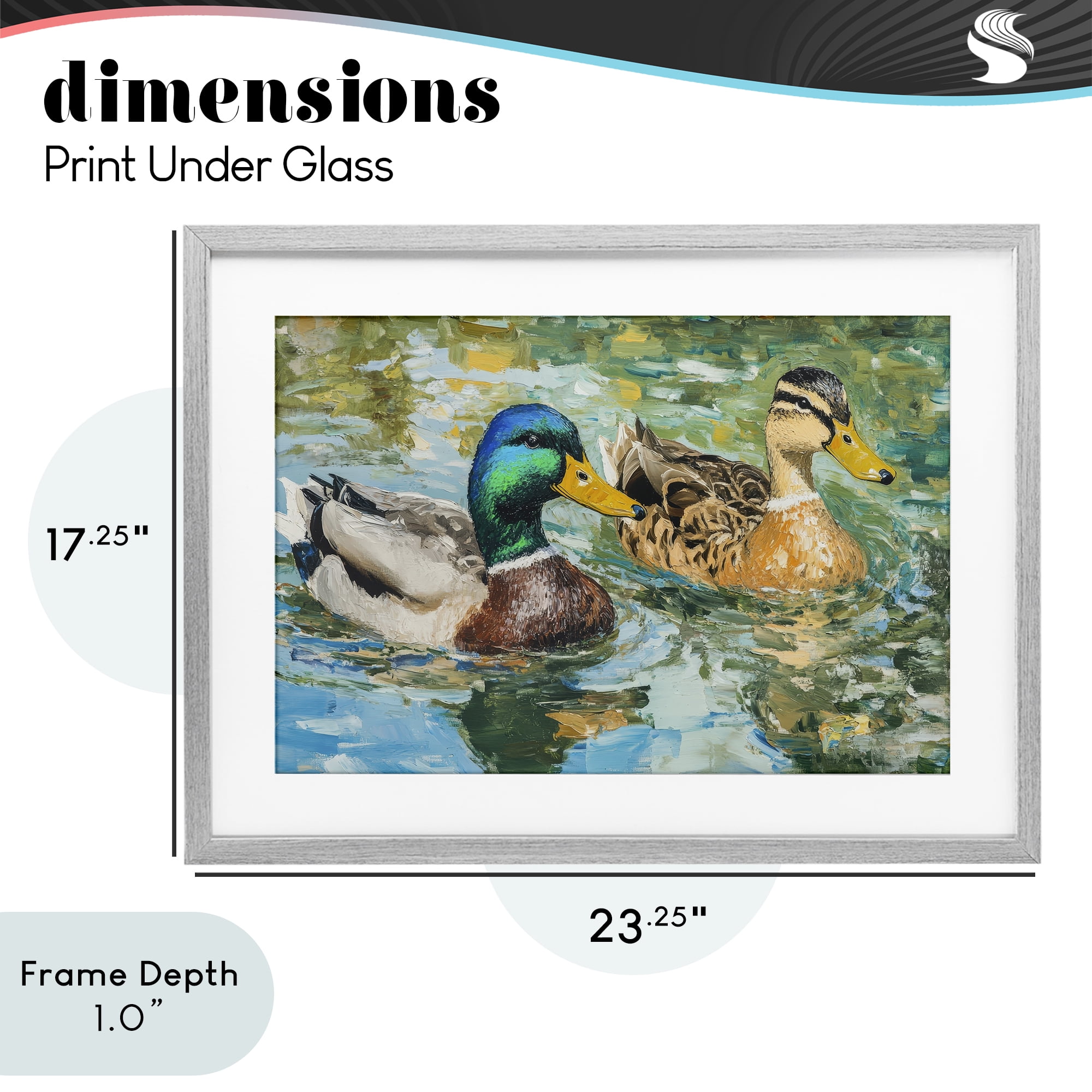 Stupell Industries Ducks Out For A Swim Gray Framed Print Under Glass, design by Petal Prints Design