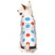 thumbnail image 1 of Fotbe Red Blue Polka Dots Sudadera con Estampado para Perros Pequeños – Suéter con Capucha para Mascotas, Tela Suave de Forro Polar con Bolsillo-X-Small, 1 of 7